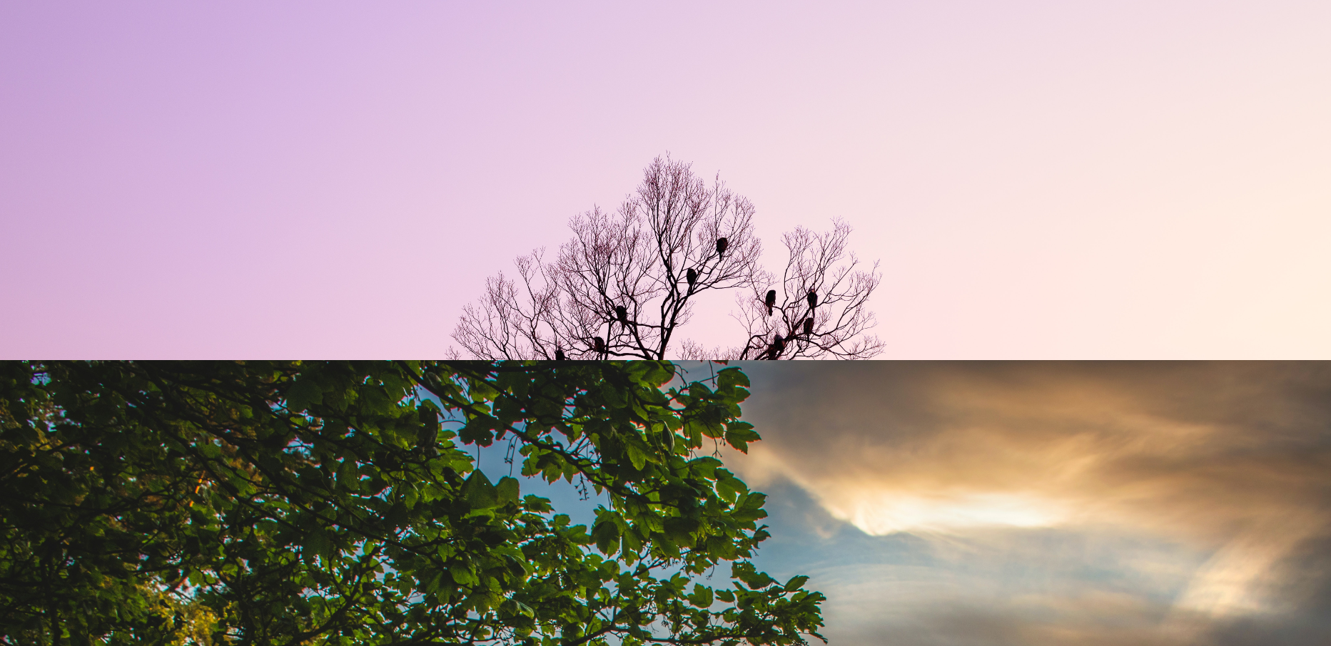 blog-one